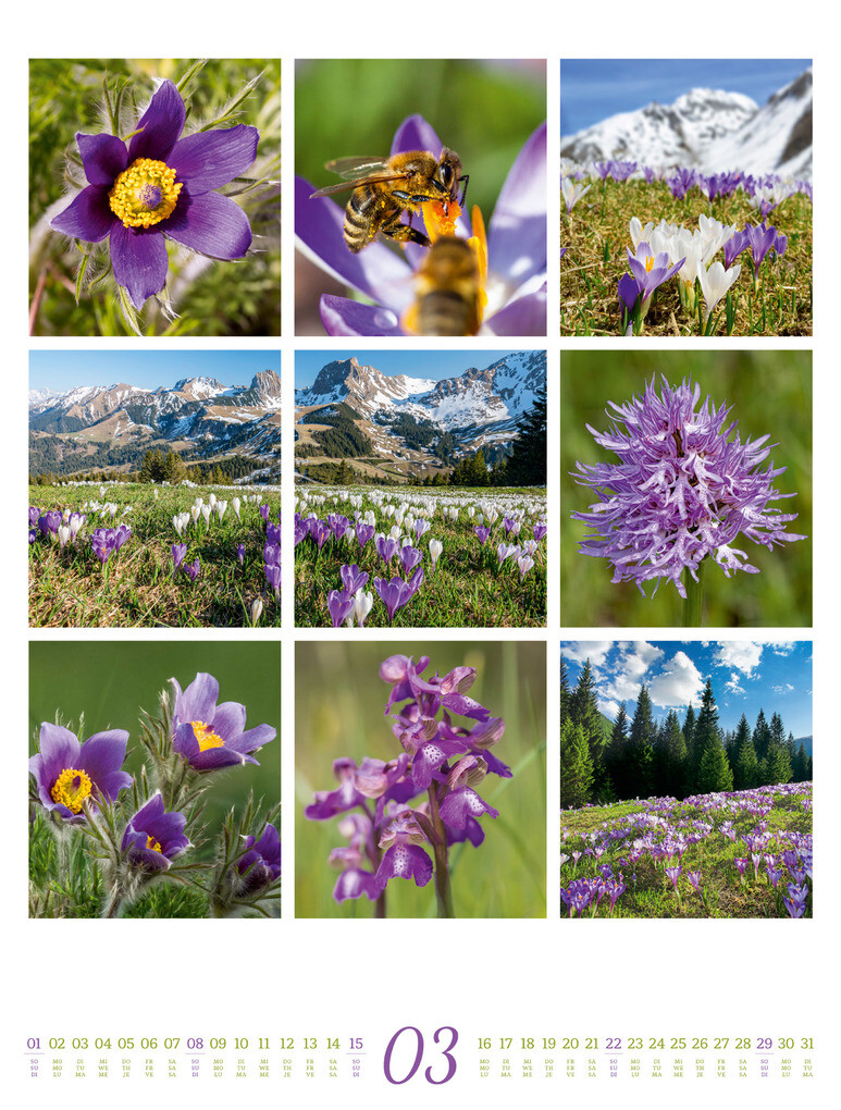 Weitere Ansicht: Inspiration Natur Kalender 2026 | Ackermann Kunstverlag GmbH
