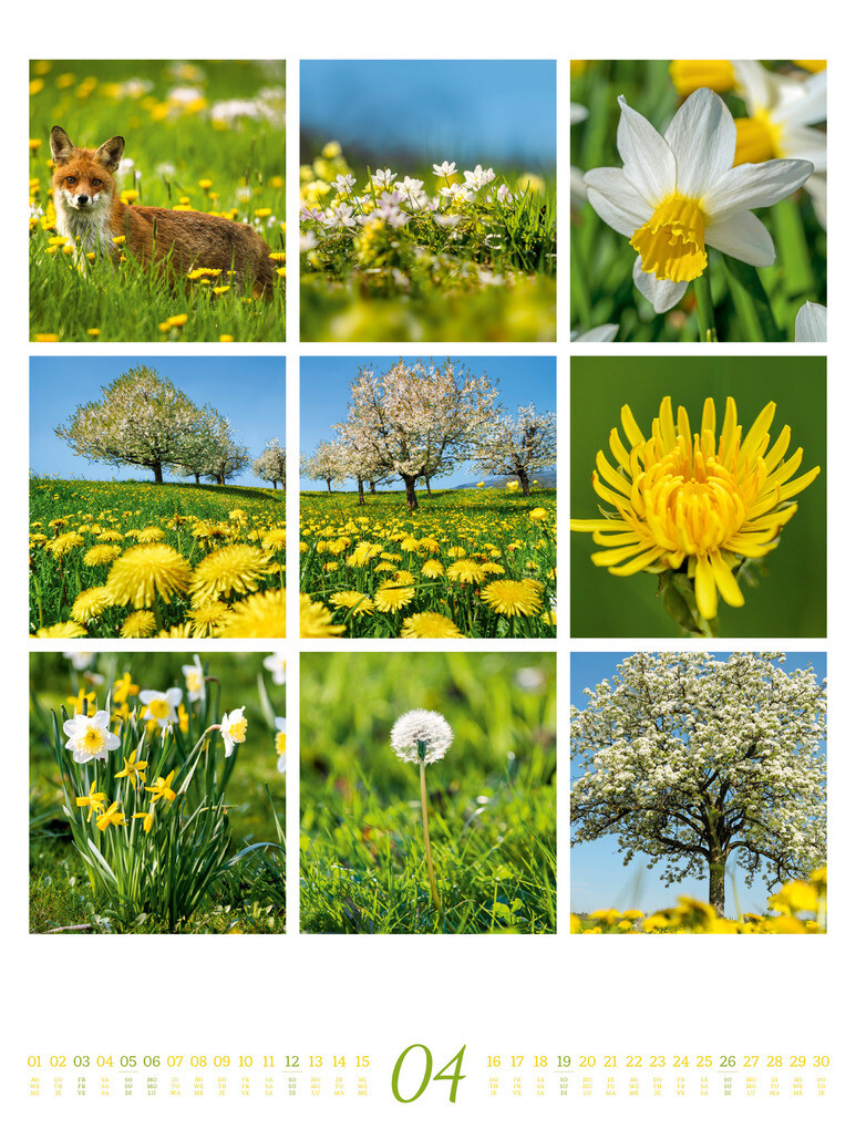 Weitere Ansicht: Inspiration Natur Kalender 2026 | Ackermann Kunstverlag GmbH