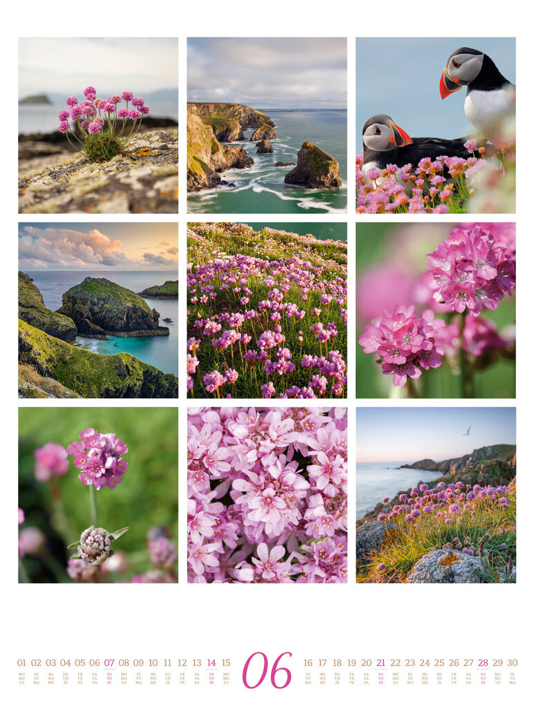 Weitere Ansicht: Inspiration Natur Kalender 2026 | Ackermann Kunstverlag GmbH