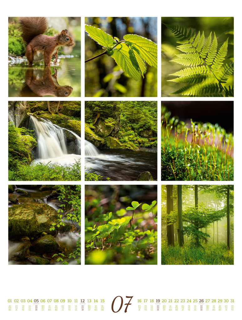 Weitere Ansicht: Inspiration Natur Kalender 2026 | Ackermann Kunstverlag GmbH