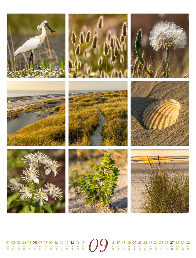 Weitere Ansicht: Inspiration Natur Kalender 2026 | Ackermann Kunstverlag GmbH