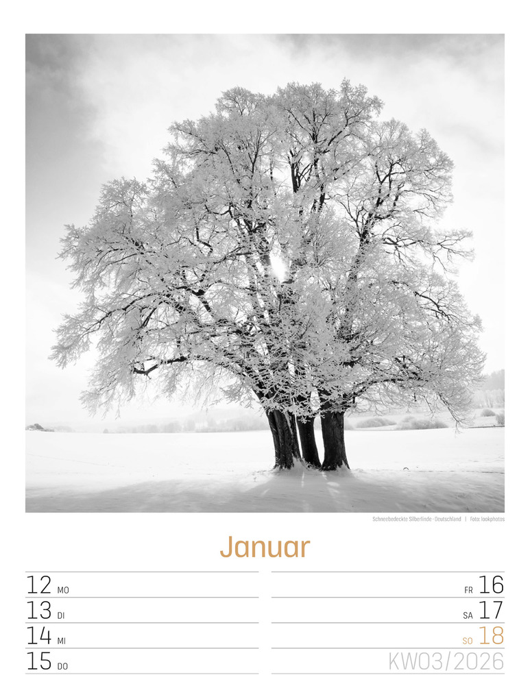 Weitere Ansicht: Silent Nature Wochenplaner Kalender 2026 | Ackermann Kunstverlag GmbH