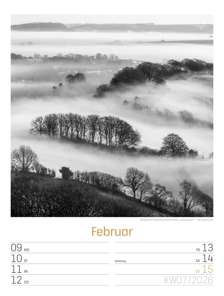Weitere Ansicht: Silent Nature Wochenplaner Kalender 2026 | Ackermann Kunstverlag GmbH