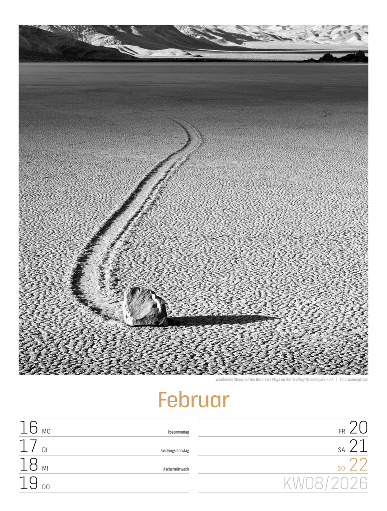 Weitere Ansicht: Silent Nature Wochenplaner Kalender 2026 | Ackermann Kunstverlag GmbH