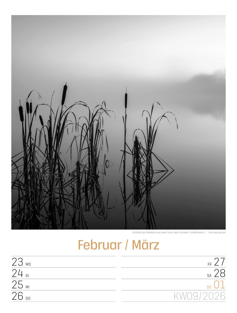 Weitere Ansicht: Silent Nature Wochenplaner Kalender 2026 | Ackermann Kunstverlag GmbH
