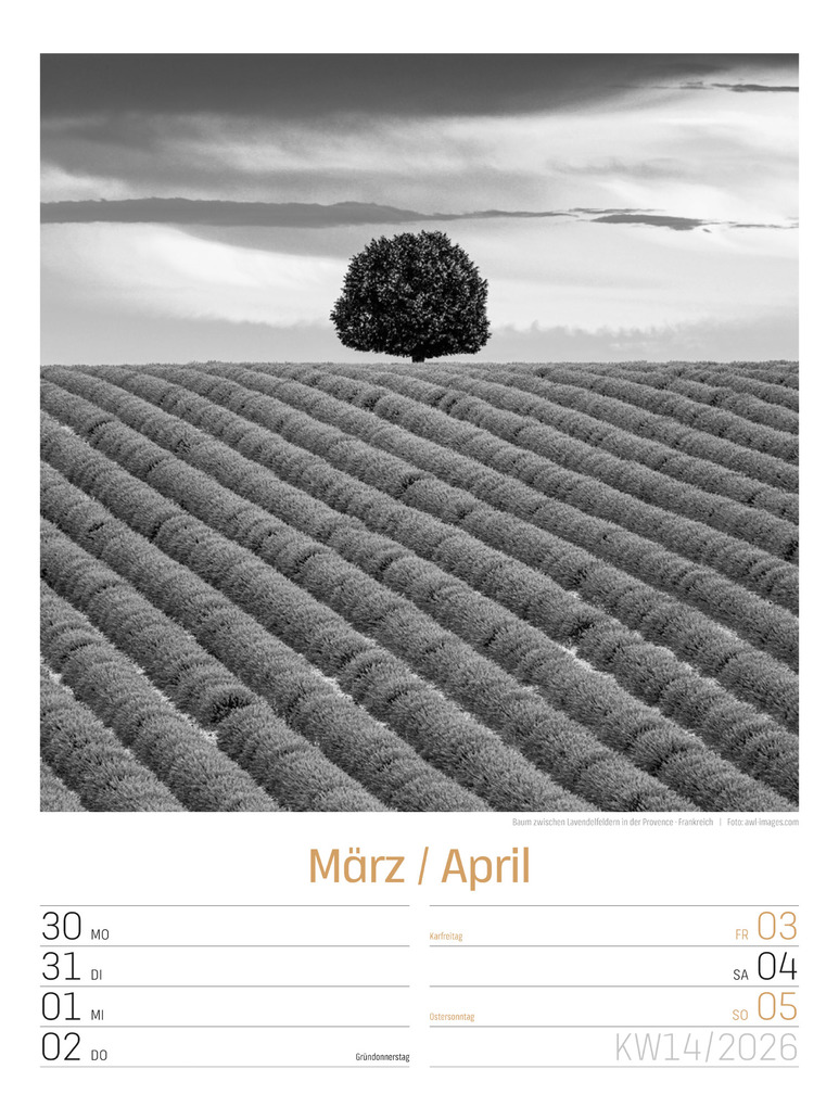 Weitere Ansicht: Silent Nature Wochenplaner Kalender 2026 | Ackermann Kunstverlag GmbH