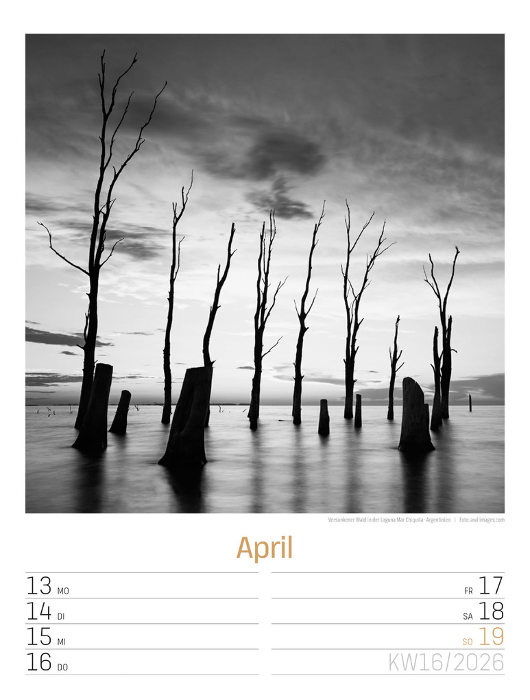 Weitere Ansicht: Silent Nature Wochenplaner Kalender 2026 | Ackermann Kunstverlag GmbH