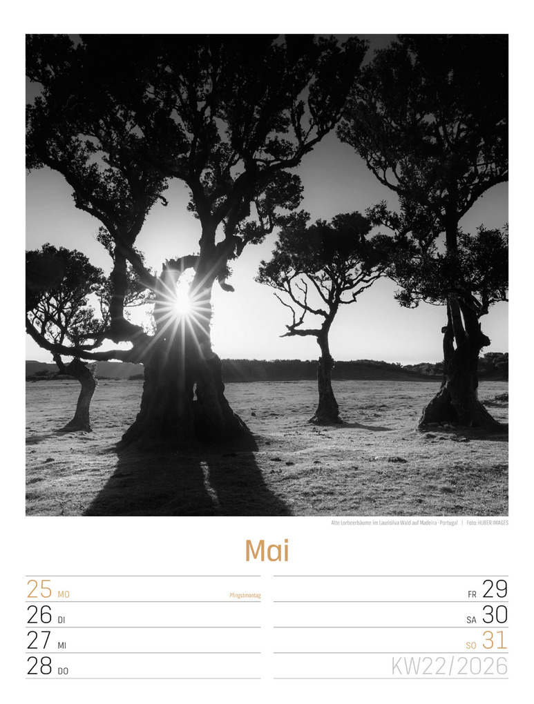 Weitere Ansicht: Silent Nature Wochenplaner Kalender 2026 | Ackermann Kunstverlag GmbH