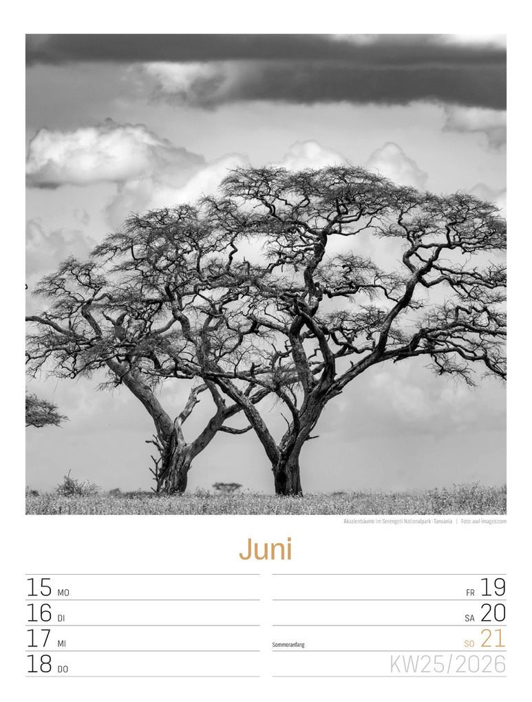 Weitere Ansicht: Silent Nature Wochenplaner Kalender 2026 | Ackermann Kunstverlag GmbH