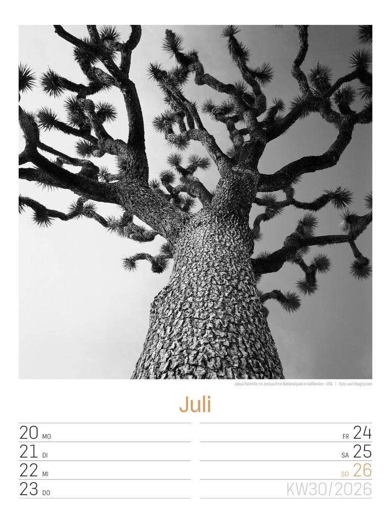 Weitere Ansicht: Silent Nature Wochenplaner Kalender 2026 | Ackermann Kunstverlag GmbH