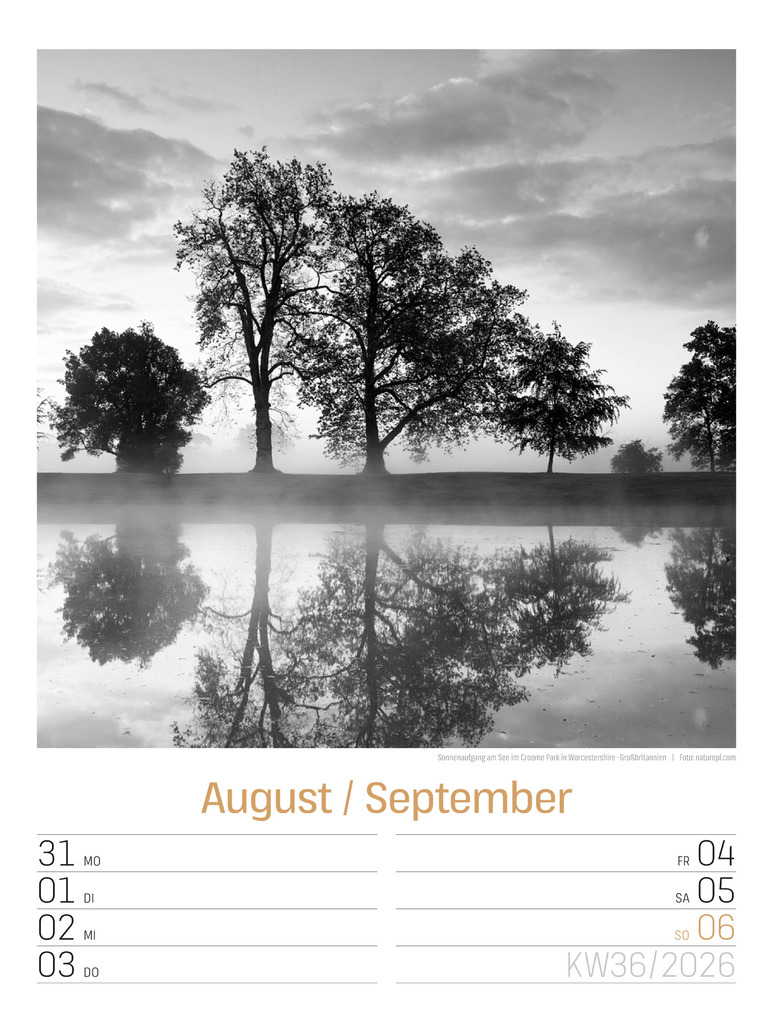 Weitere Ansicht: Silent Nature Wochenplaner Kalender 2026 | Ackermann Kunstverlag GmbH