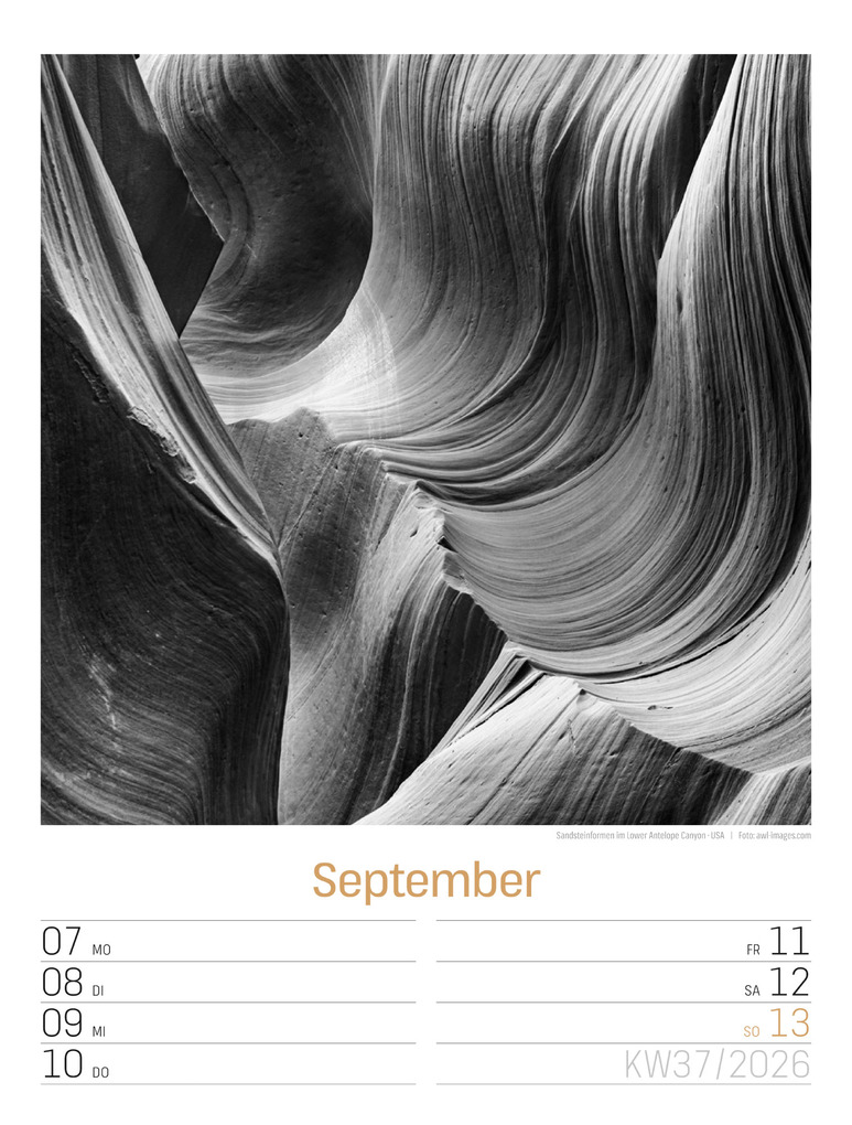 Weitere Ansicht: Silent Nature Wochenplaner Kalender 2026 | Ackermann Kunstverlag GmbH