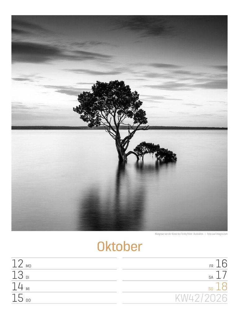 Weitere Ansicht: Silent Nature Wochenplaner Kalender 2026 | Ackermann Kunstverlag GmbH