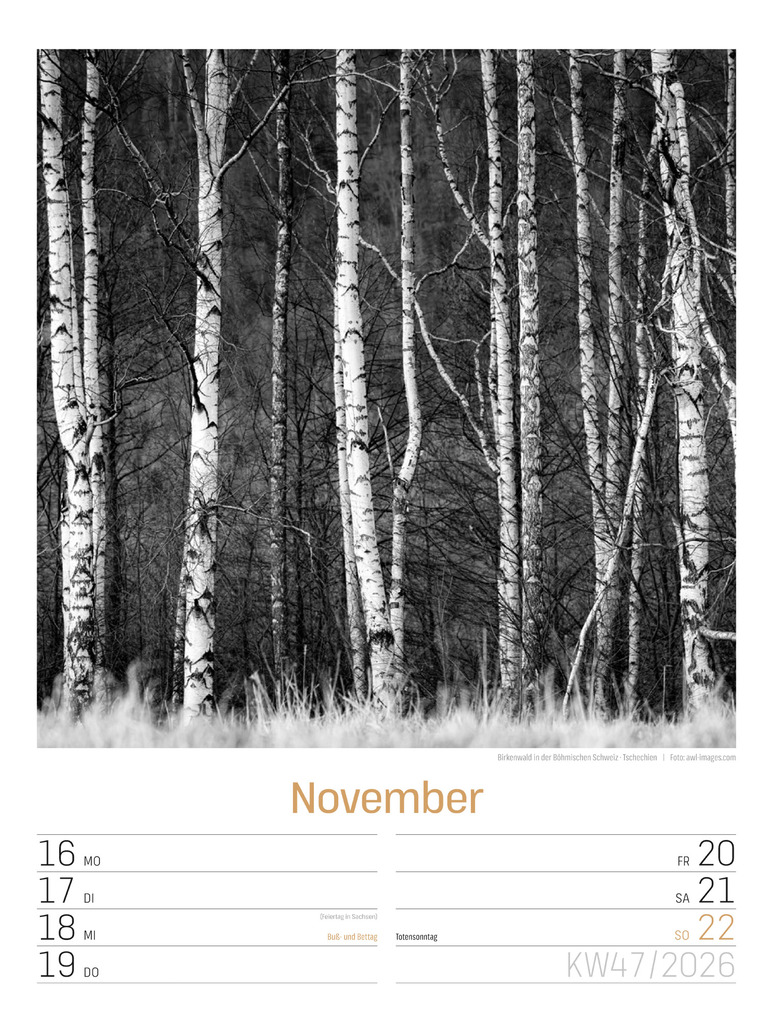 Weitere Ansicht: Silent Nature Wochenplaner Kalender 2026 | Ackermann Kunstverlag GmbH