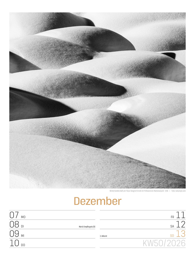 Weitere Ansicht: Silent Nature Wochenplaner Kalender 2026 | Ackermann Kunstverlag GmbH