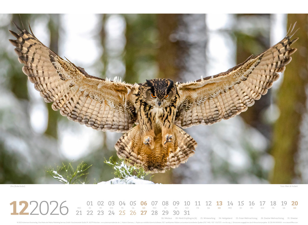 Weitere Ansicht: Tierwelt Wald Kalender 2026