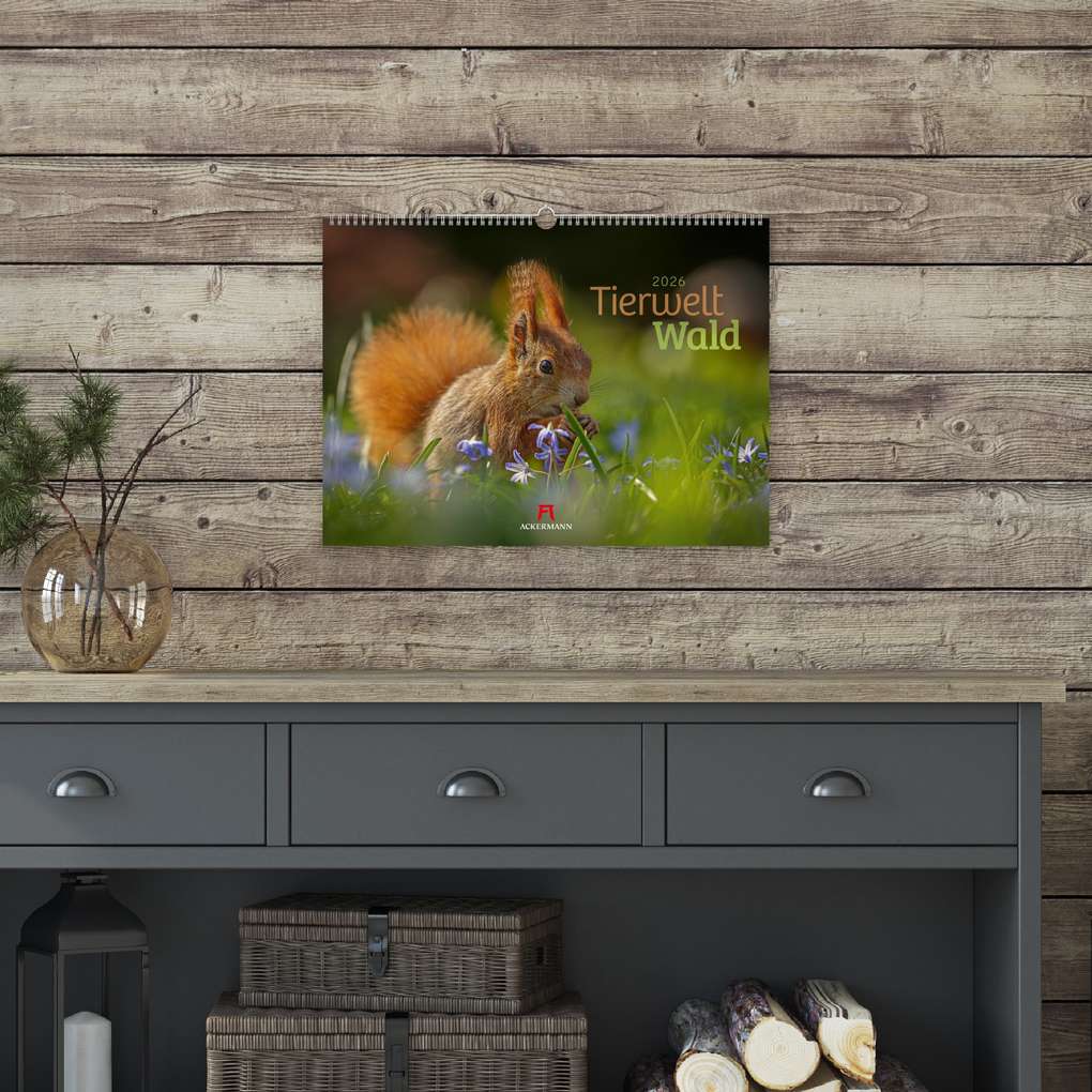 Weitere Ansicht: Tierwelt Wald Kalender 2026
