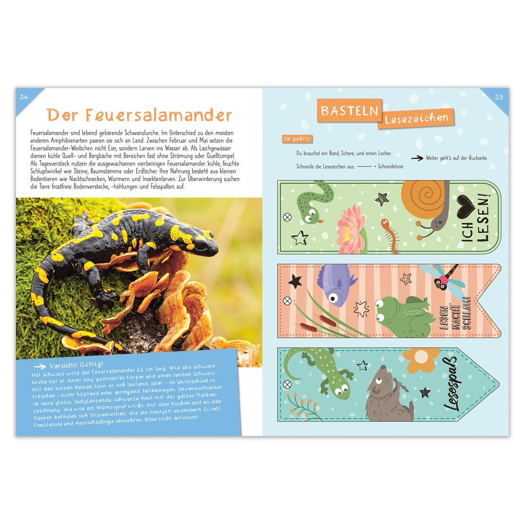 Weitere Ansicht: Activity Heft: Wasser Marsch - Heimische Gewässer entdecken