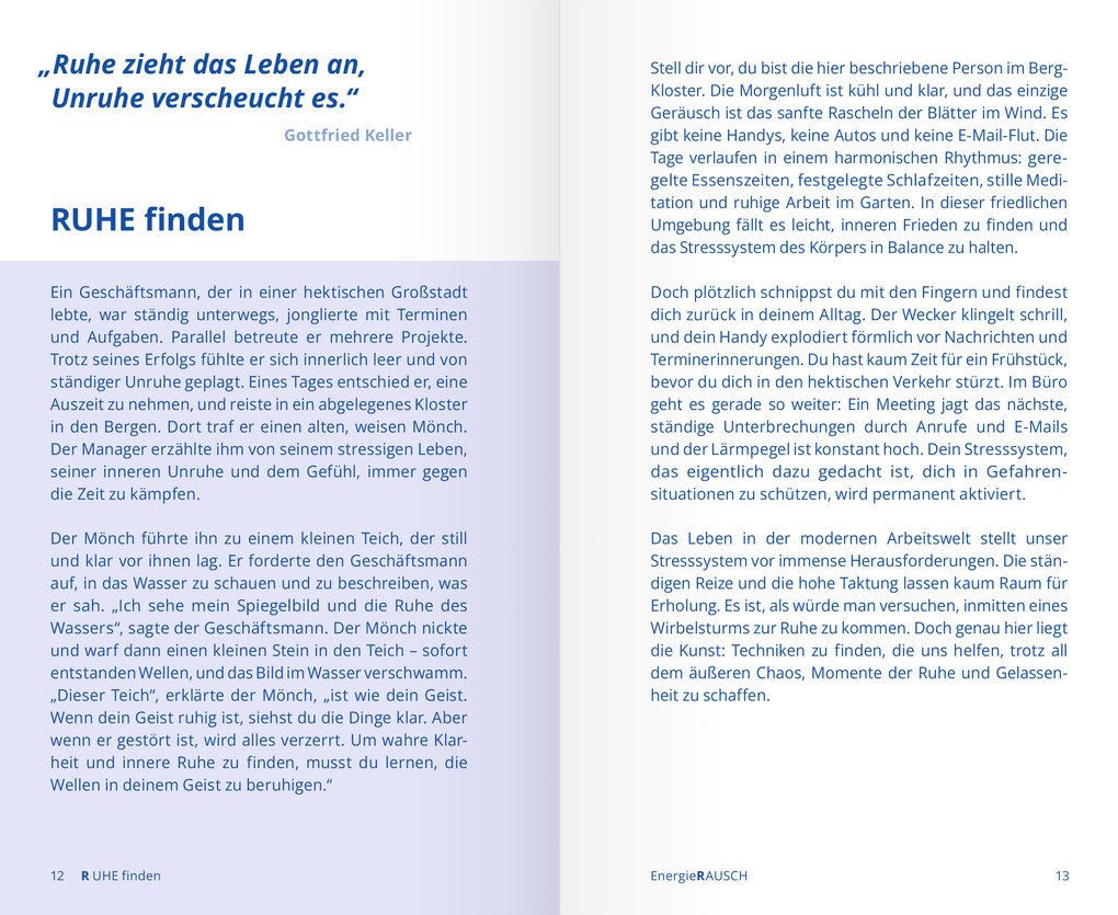 Weitere Ansicht: EnergieRAUSCH - Schluss mit Antriebslosigkeit, Stress und Sorgen | Daniel Wüstholz