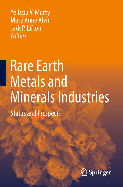 Produktbild: Rare Earth Metals and Minerals Industries