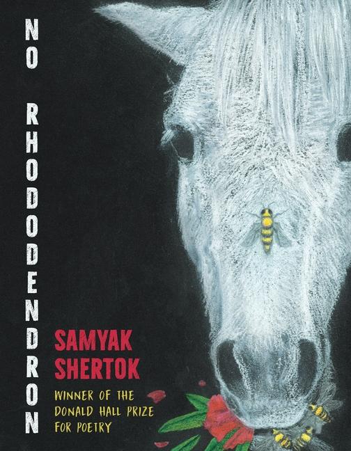 Produktbild: No Rhododendron | Samyak Shertok