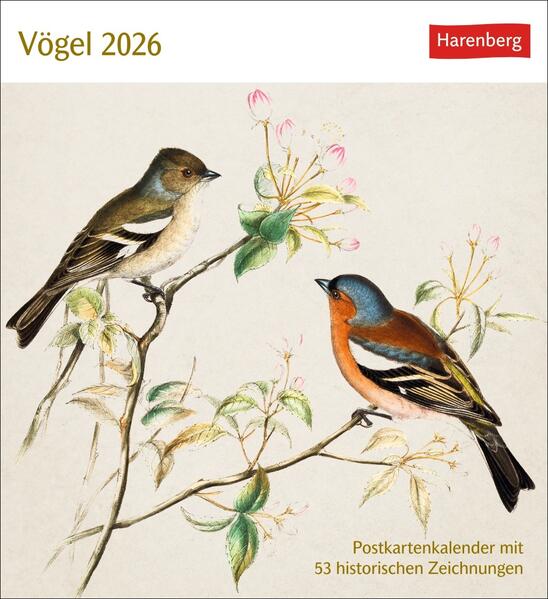 Produktbild: Vögel Postkartenkalender 2026 - Postkartenkalender mit 53 historischen Zeichnungen