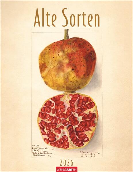 Produktbild: Alte Sorten Kalender 2026