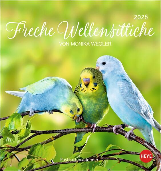 Produktbild: Freche Wellensittiche Postkartenkalender 2026