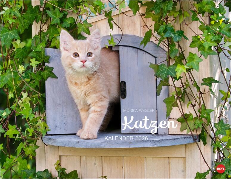 Produktbild: Monika Wegler: Katzenkalender 2026