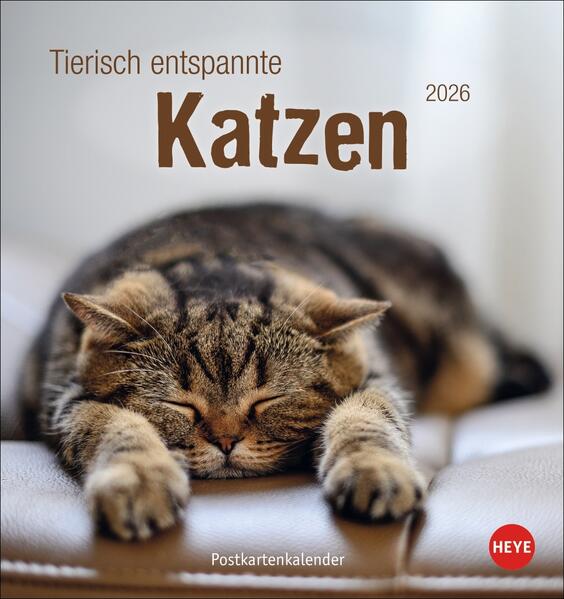 Produktbild: Tierisch entspannte Katzen Postkartenkalender 2026