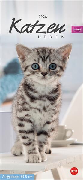 Produktbild: Whiskas Katzenleben Kalender 2026