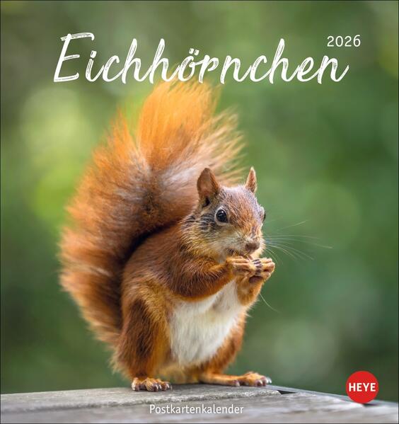 Produktbild: Eichhörnchen Postkartenkalender 2026