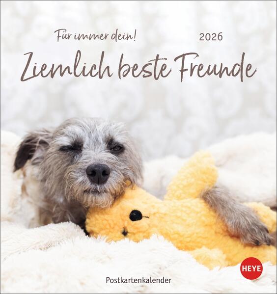 Produktbild: Ziemlich beste Freunde Postkartenkalender 2026 - Für immer dein
