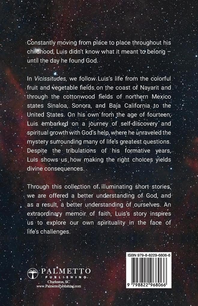 Weitere Ansicht: Vicissitudes | Joe Boulder