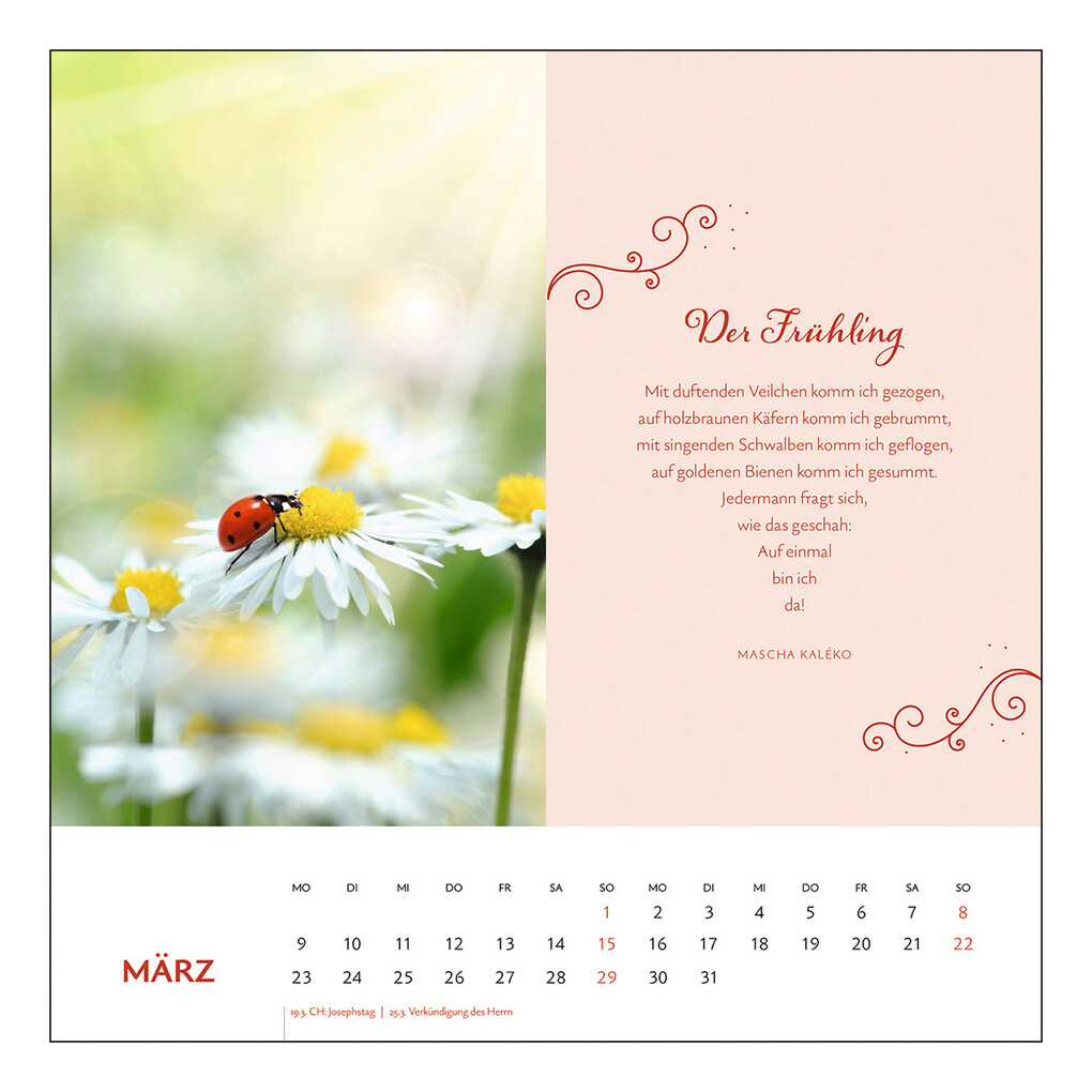 Weitere Ansicht: Mascha Kaléko 2026