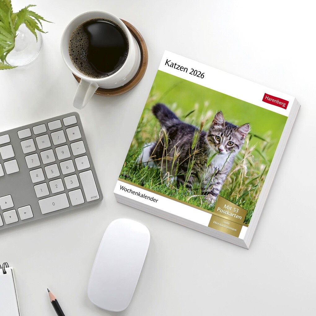 Weitere Ansicht: Katzen Postkartenkalender 2026 - Wochenkalender mit 53 Postkarten