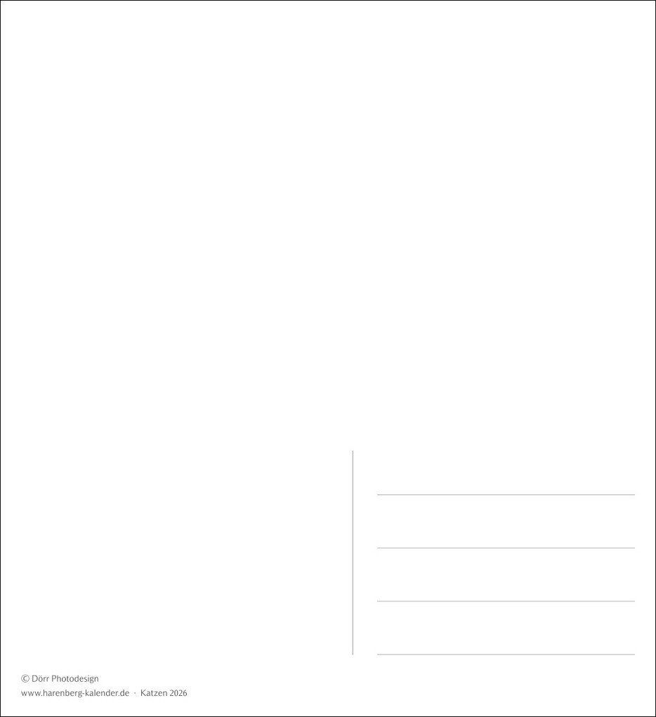 Weitere Ansicht: Katzen Postkartenkalender 2026 - Wochenkalender mit 53 Postkarten
