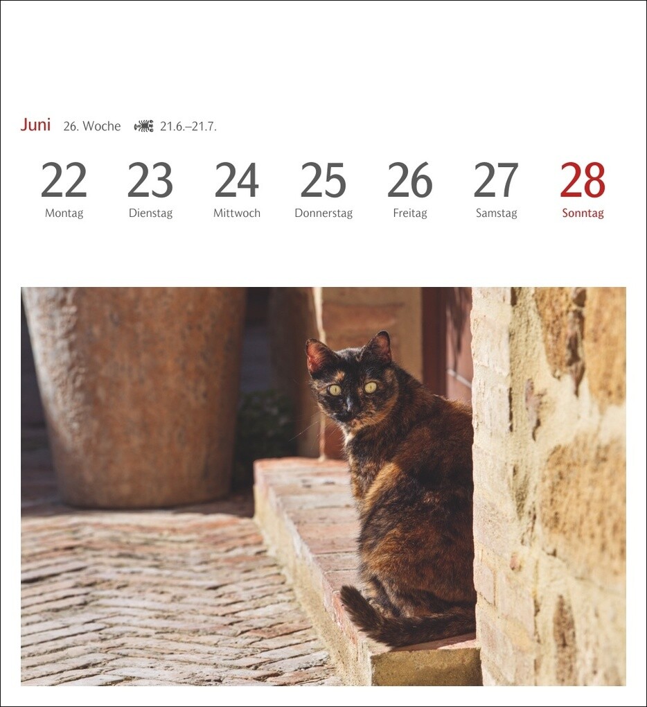Weitere Ansicht: Katzen Postkartenkalender 2026 - Wochenkalender mit 53 Postkarten