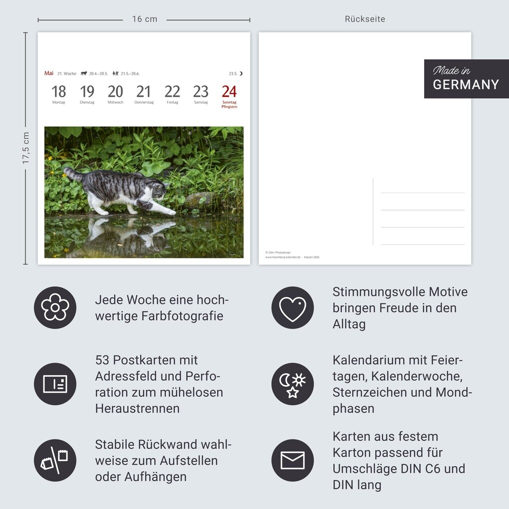 Weitere Ansicht: Katzen Postkartenkalender 2026 - Wochenkalender mit 53 Postkarten
