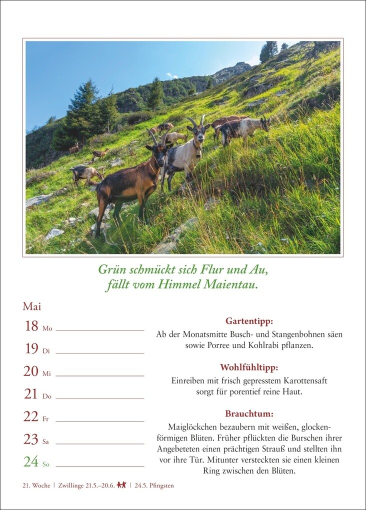 Weitere Ansicht: Bauernweisheiten Wochenkalender 2026 - Bauernregeln, Brauchtum, Gartentipps, Haushaltstipps | Jochen Dilling