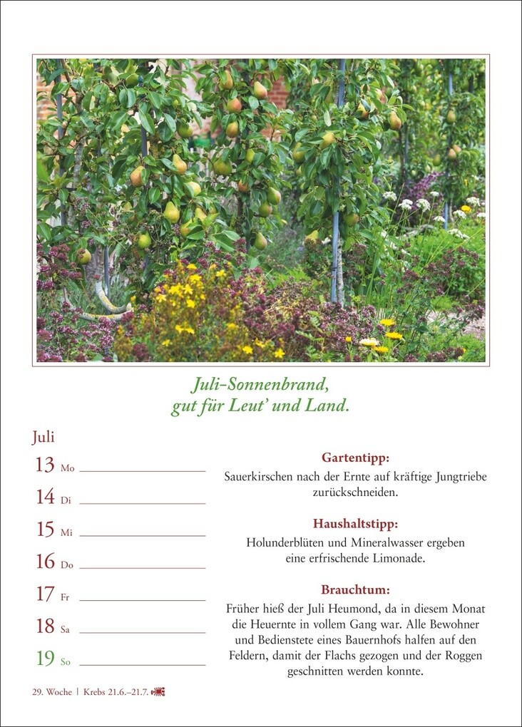 Weitere Ansicht: Bauernweisheiten Wochenkalender 2026 - Bauernregeln, Brauchtum, Gartentipps, Haushaltstipps | Jochen Dilling