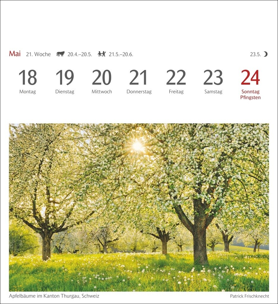 Weitere Ansicht: Bäume Postkartenkalender 2026 - Wochenkalender mit 53 Postkarten