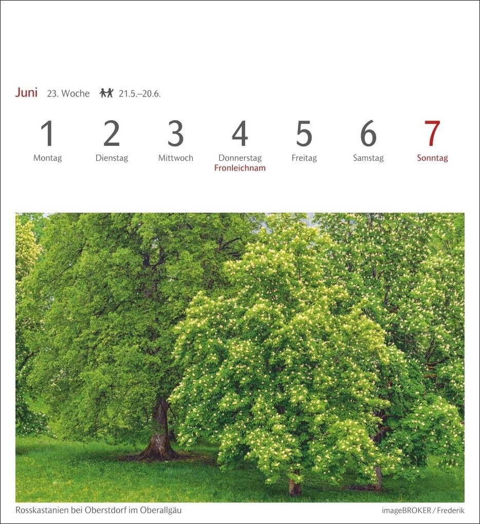 Weitere Ansicht: Bäume Postkartenkalender 2026 - Wochenkalender mit 53 Postkarten