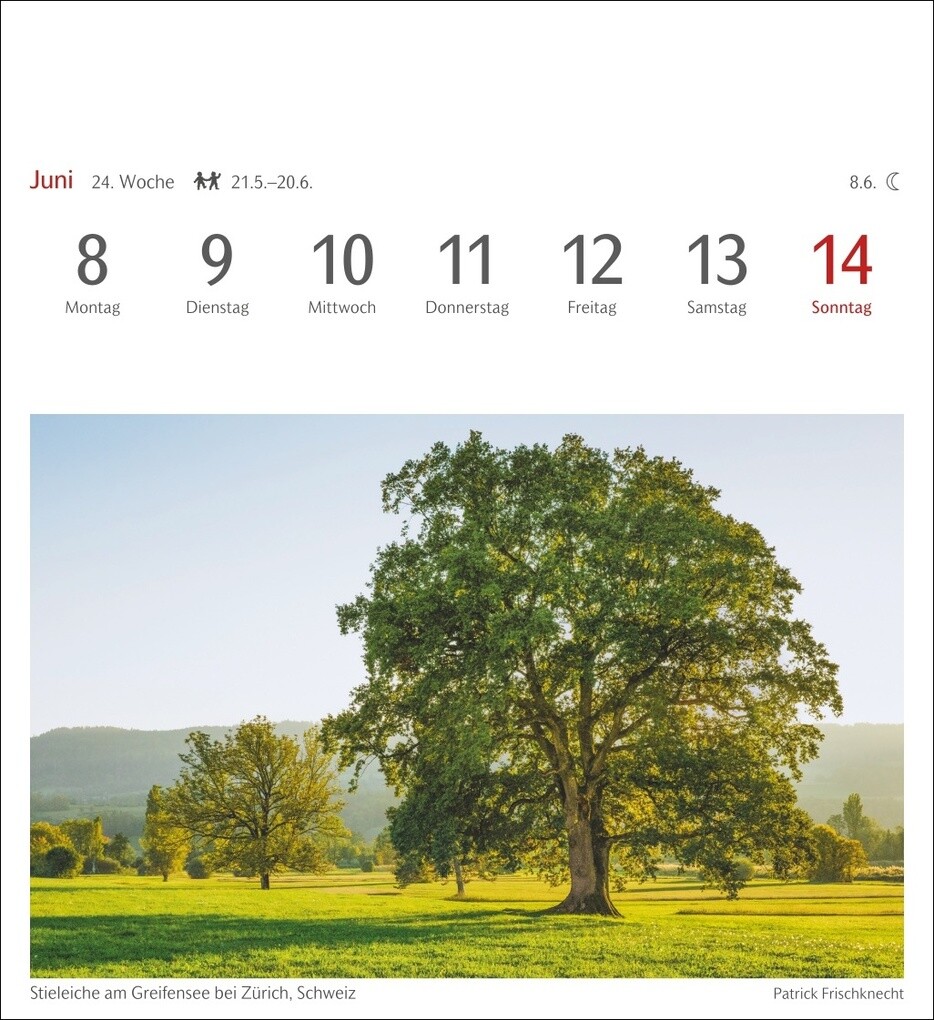 Weitere Ansicht: Bäume Postkartenkalender 2026 - Wochenkalender mit 53 Postkarten