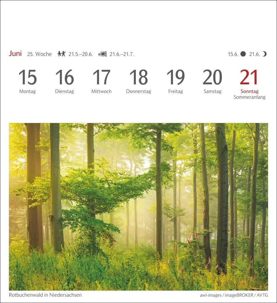 Weitere Ansicht: Bäume Postkartenkalender 2026 - Wochenkalender mit 53 Postkarten