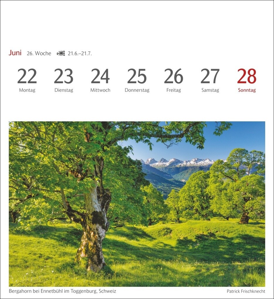 Weitere Ansicht: Bäume Postkartenkalender 2026 - Wochenkalender mit 53 Postkarten