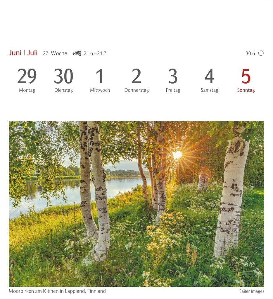 Weitere Ansicht: Bäume Postkartenkalender 2026 - Wochenkalender mit 53 Postkarten