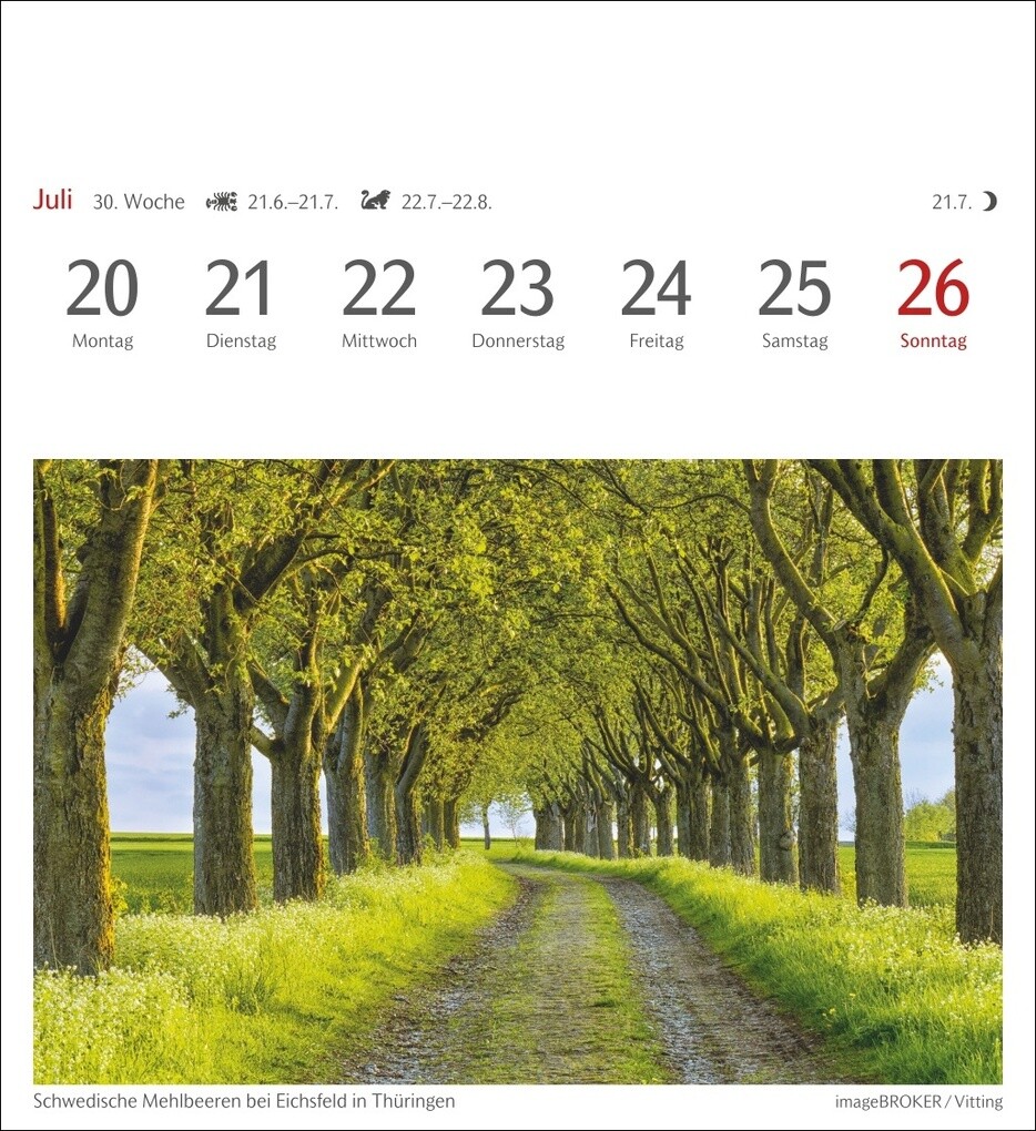 Weitere Ansicht: Bäume Postkartenkalender 2026 - Wochenkalender mit 53 Postkarten