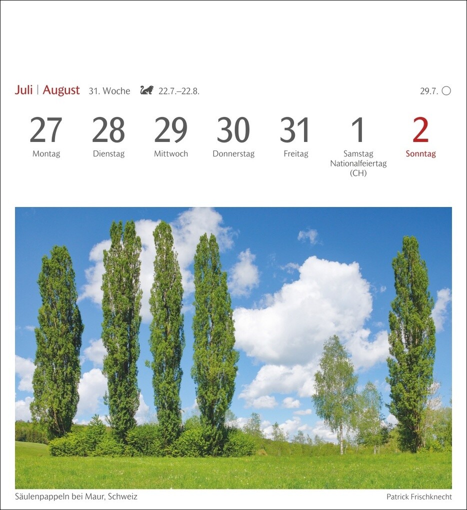 Weitere Ansicht: Bäume Postkartenkalender 2026 - Wochenkalender mit 53 Postkarten