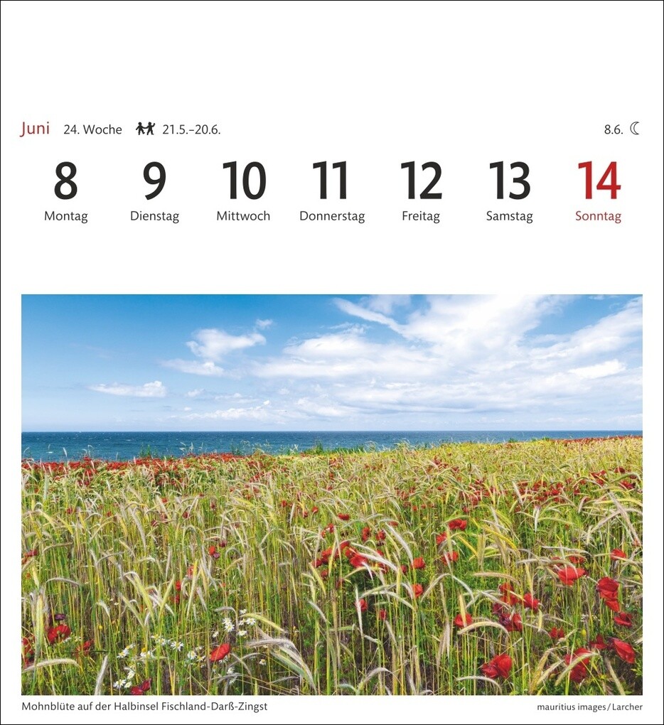 Weitere Ansicht: Ostseeküste Sehnsuchtskalender 2026 - Wochenkalender mit 53 Postkarten